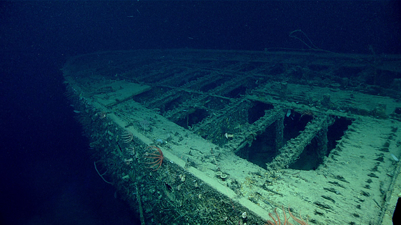 The remains of USS Baltimore (C-3), upright and intact on the flat sandy seafloor where it was scuttled in 1944 near the southern shore of Oahu, Hawai‘i.