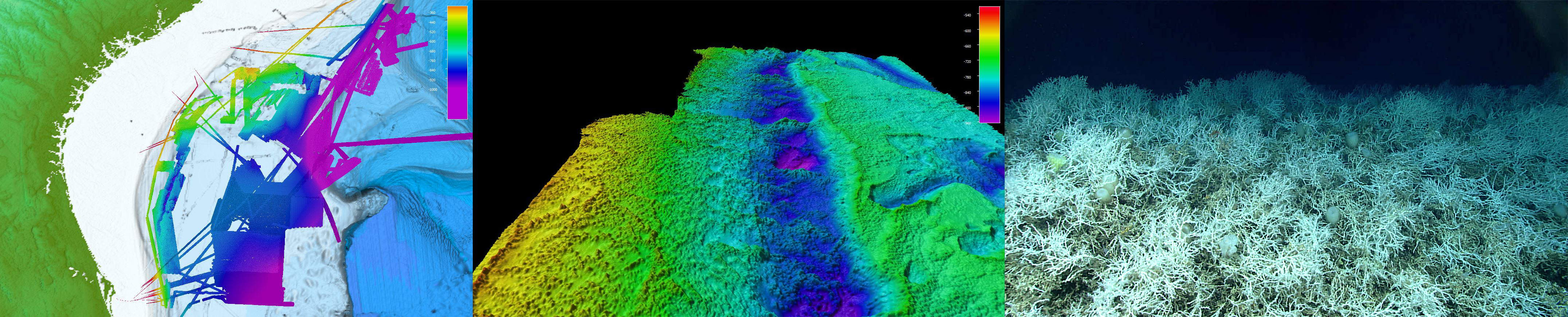 NOAA Ocean Exploration has been mapping the seafloor of the Blake Plateau off the Southeast United States aboard NOAA Ship Okeanos Explorer (left) since 2011. As a result of this mapping, NOAA Ocean Exploration and partner scientists discovered mounds of extensive, dense populations of the deep-sea, reef-building coral Lophelia pertusa (middle and right) — some in areas previously believed to be flat and featureless. These mounds have been growing for thousands, perhaps millions, of years and provide shelter and habitat to a variety of marine life. Now, at 28,047 square kilometers (10,829 square miles), this area is considered to be the largest known deep-sea coral province in U.S. waters, possibly the world. Additional mapping data collected with the support of NOAA Ocean Exploration (not shown here) have contributed to a near complete map of the deep waters of the Blake Plateau, an area of interest for the National Strategy for Mapping, Exploring, and Characterizing the United States exclusive economic zone.