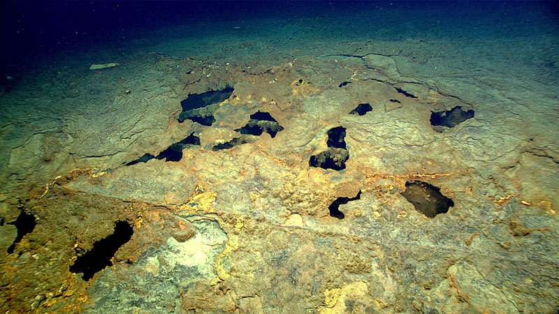 Corrosion in the hull of the shipwreck explored during Windows to the Deep 2021 provides glimpses into the rooms in the interior of the ship. The shipwreck was explored during Dive 02 of the expedition and, based on evidence seen during the dive, experts believe it is the wreck of SS Bloody Marsh.