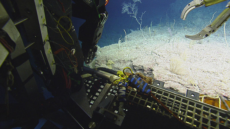 During an expedition to Baker and Howland Islands and Johnston Atoll aboard Exploration Vessel Nautilus in 2019, scientists collected environmental DNA, which will be analyzed as part of this project.