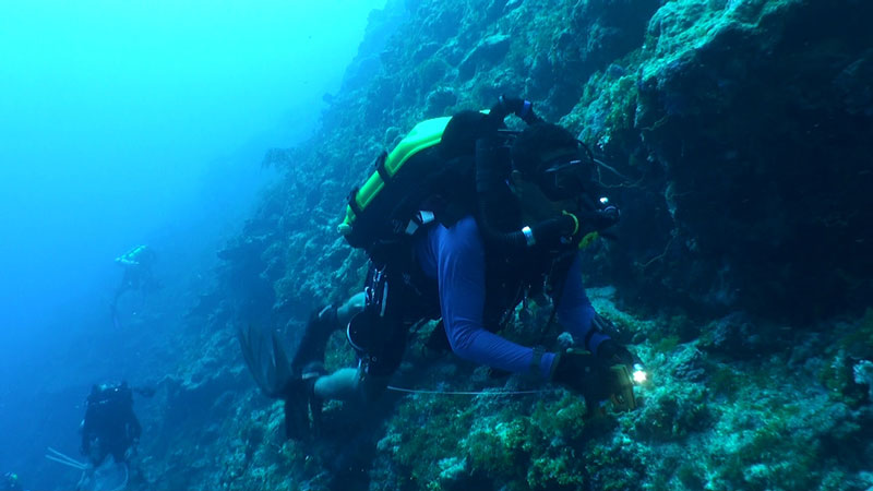 Closed-circuit rebreather (CCR) technology will allow this research team to access unexplored mesophotic reefs and characterize reef fish communities and habitat of western Puerto Rico. Here, Richard Coleman, the project’s principal investigator, is using CCR technology to survey fish communities on the island of Pohnpei, Federated States of Micronesia.