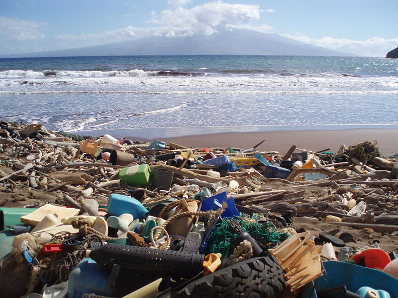 A beach strewn with plastic debris and driftwood, with the ocean and a distant landmass visible.