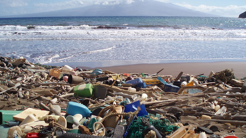 A beach strewn with plastic debris and driftwood, with the ocean and a distant landmass visible.