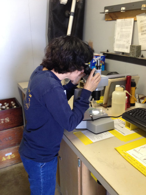 Scripps Pier site, La Jolla, California: Kelly Goodwin (Atlantic Oceanographic and Meteorological Laboratory) checking collected marine microbes samples through a microscope in the field lab.