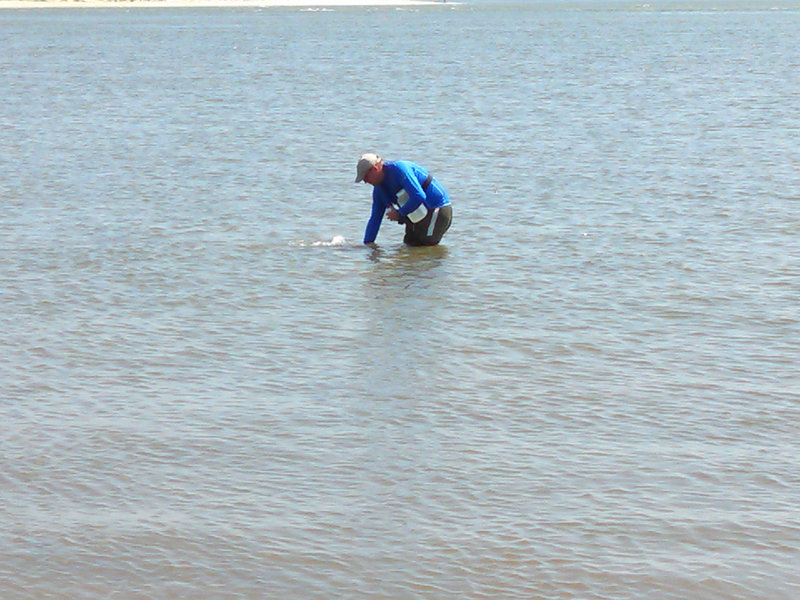 North Inlet site, Charleston, South Carolina: Michael Fulton collecting samples.