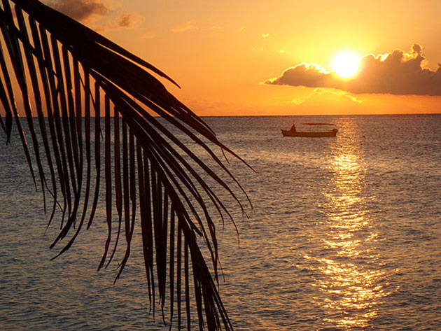 December 2012, Roatan, Honduras: A palm branch with a fisherman in his boat.