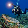 A young SCUBA diver using her underwater camera to photography a sea turtle so she can share with her friends her experiences while diving.