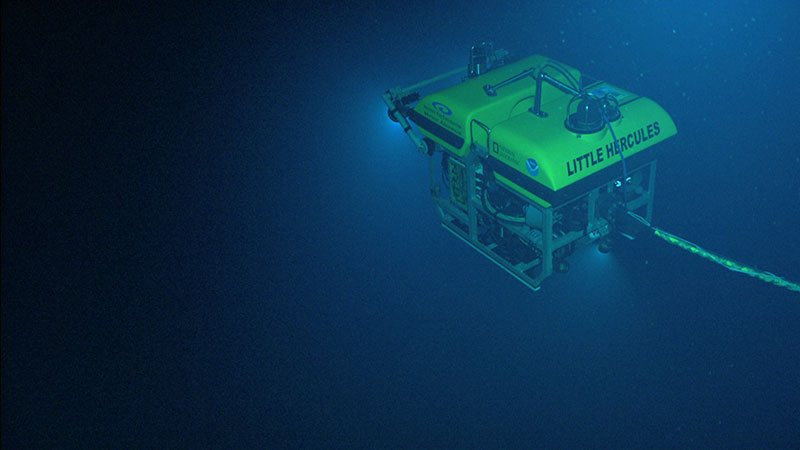 Little Hercules ROV descends