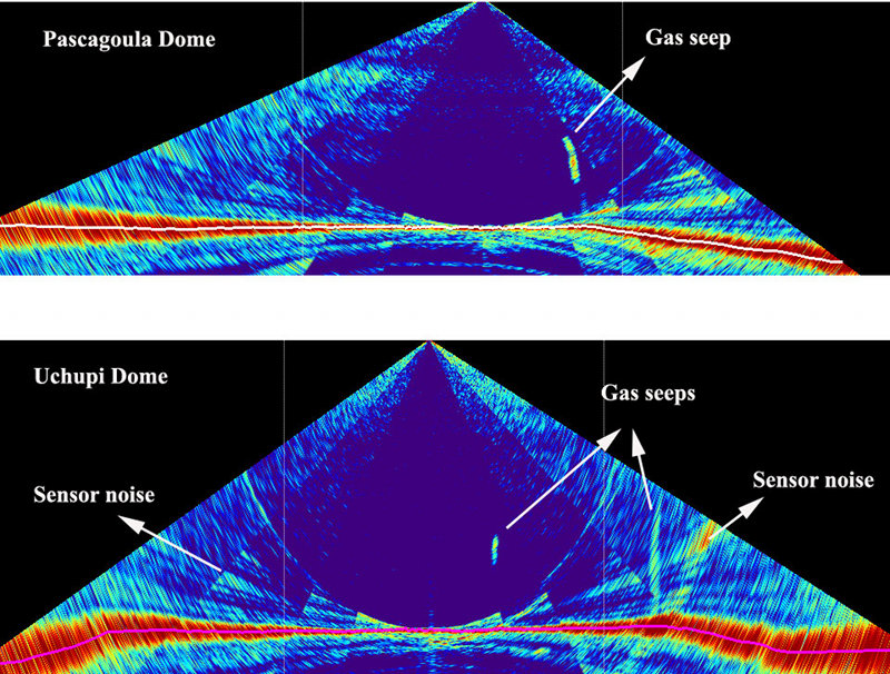 Water column targets (presumed gaseous seeps) detected over the Pascagoula and Uchupi dome during the current expedition.