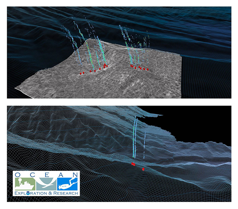 Perspective image of gaseous seeps at locations 1 and 2 derived from water column acoustic reflectivity observations. Also shown is associated bathymetry and seafloor backscatter (location 1-top).