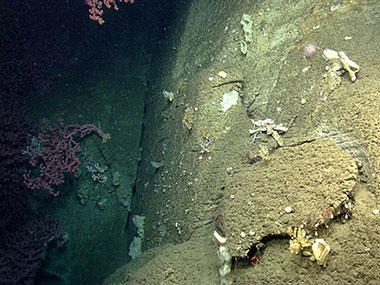 A scalloped portion of the wall in Heezen Canyon.