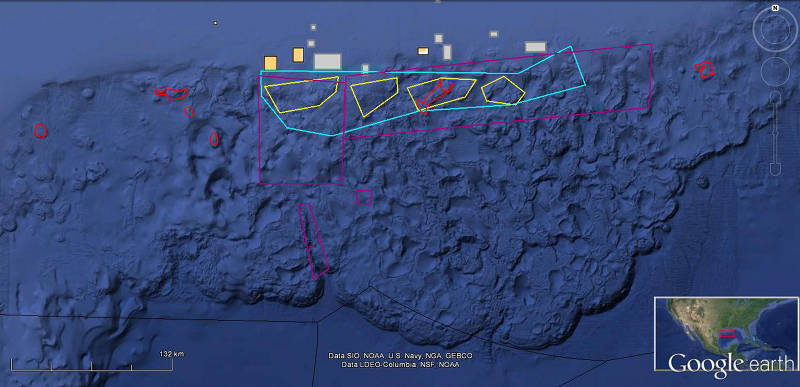 Interest in deepwater areas in the Northwest Gulf of Mexico was expressed by a range of organizations.