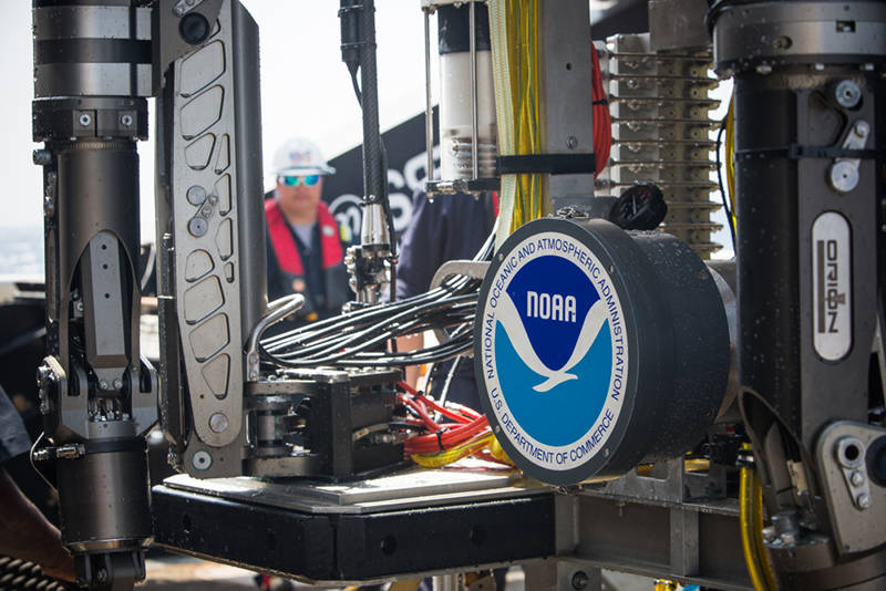 Hydraulics and HD - two of the most important items on any ROV. D2 has eight cameras and two manipulator arms, one of which is home to a brand new temperature probe.