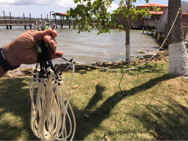 Vertical long line used in western Puerto Rico to capture deep-water snappers and groupers (Photo: M. Schärer)