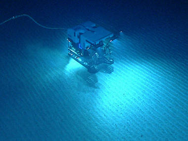 ROV <em>Deep Discoverer</em> explores the rippled seafloor during Dive 02.