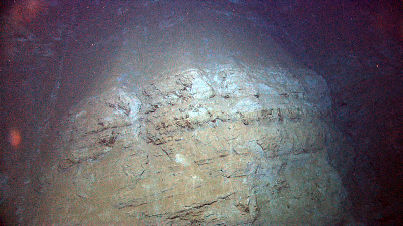 During our dive along the west wall of Mona Canyon, we encountered a younger carbonate platform sequence of rocks.