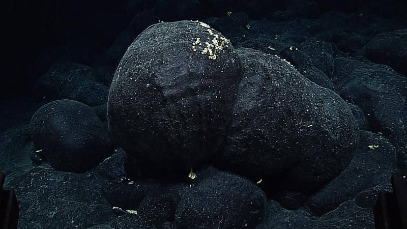 This is a photo showing the rounded, toothpaste tubular look of pillow lavas on a mound that was constructed completely from the pillows not traveling very far horizontally and building on top of each other.