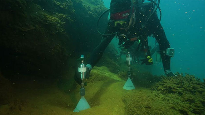 The Establishment of the Marianas Trench Marine National Monument