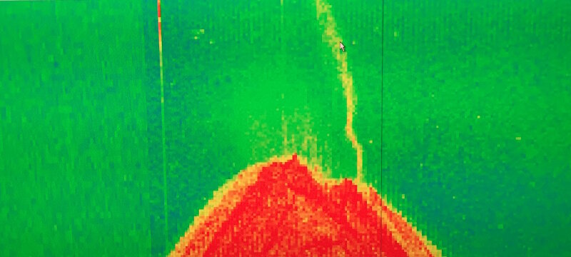 During mapping operations, our multibeam system also collects water column backscatter or data about what is in the water column between the surface and the seafloor. When mapping Daikoku Seamount, we found a very active hydrothermal plume that eventually helped us target the ROV dive transect. We believe that this plume was composed of the large amounts of bubbles coming from the seafloor that we saw during the ROV dive.