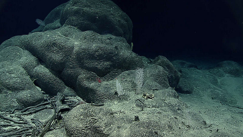 July 5: Leg 3: A Geological Tour of the Northern Marianas!