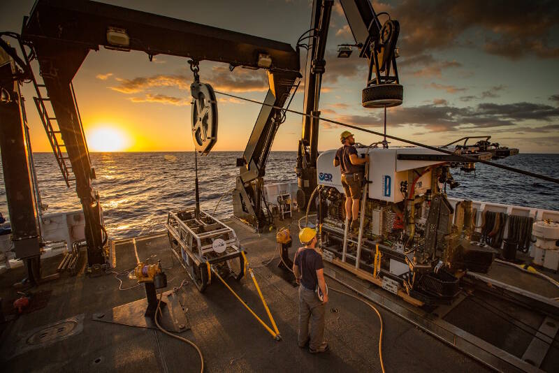 The remotely operated vehicles (ROV) are prepared for deployment on the aft deck of NOAA Ship Okeanos Explorer. The dual body ROV is dedicated to the ship and includes the camera sled Seirios (left) and ROV Deep Discoverer (right). Both vehicles are outfitted with powerful lighting, high definition imaging, and sensors to collect in situ environmental information on habitats being explored. Deep Discoverer is also equipped with a temperature probe, and two manipulator arms, coral cutters and storage boxes for sample collections.