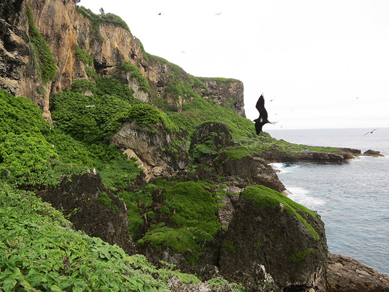 Le Parc Naturel De La Mer De Corail (Natural Park of The Coral Sea), France.