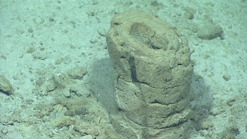 Columnar features made of carbonate form due to slow fluid flux. The laser dots are separated by 10 centimeters (~3.9 inches).