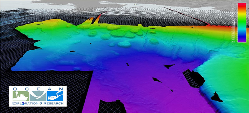 Figure 3: Oblique projection of northern Gulf of Mexico bathymetry including salt domes and Mississippi Canyon.