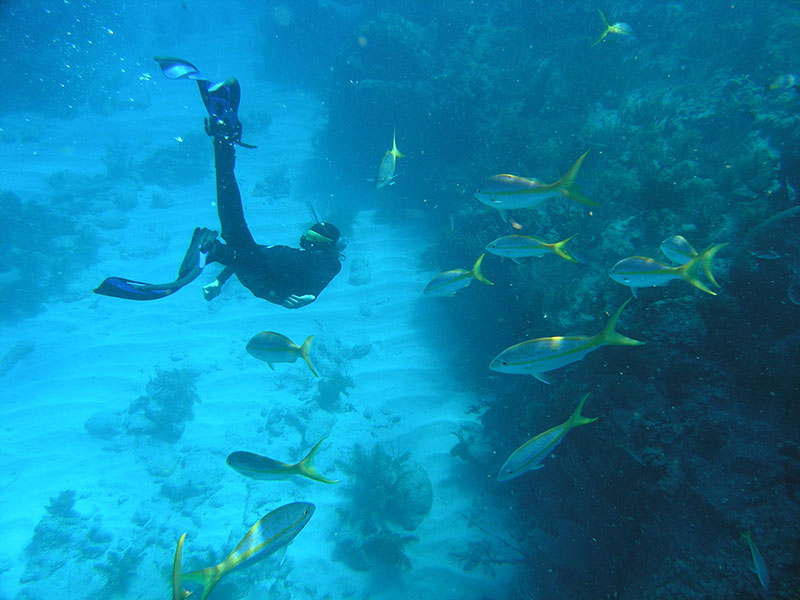 LT Abbitt free diving to 20 feet to check out some fish and coral at Looe Key Sanctuary Preservation Area. 