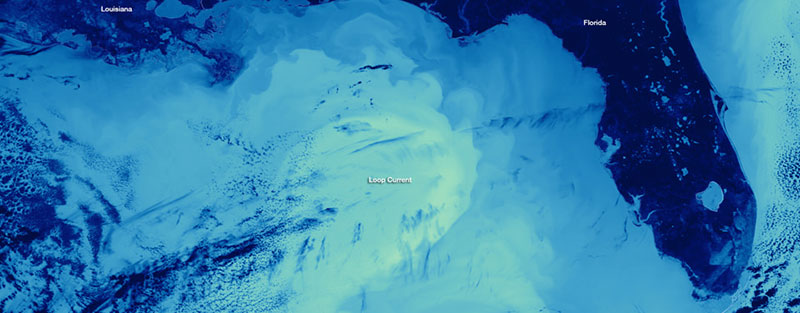 In this image from the NOAA Environmental Visualization Lab, the Loop Current in the center of the Gulf of Mexico is large and warm, while winter-chilled water draining the Mississippi River watershed envelop the bayous and bays of Louisiana.