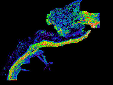 Predictive model of deepwater coral presence in U.S.-Canada Atlantic waters.