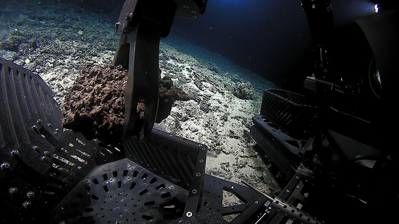 At the base of the wall feature explored during Dive 08 of the 2021 North Atlantic Stepping Stones expedition where the slope was steepening, sedimentary rocks were exposed that appeared to be carbonate conglomerate with ferromanganese coatings. A loose sample of this carbonate material was sampled.