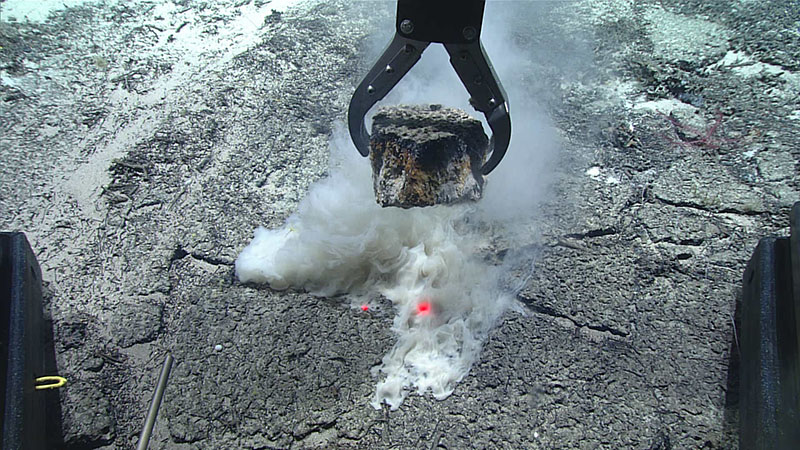 An impressively thick sample of in-place carbonate rock was collected during Dive 09 of the 2021 North Atlantic Stepping Stones expedition (note the two red dots, which are lasers spaced 10 centimeters (4 inches) apart). The collected sample revealed a thin ferromanganese coating at the surface of the rock, iron staining near the water-rock interface, and white carbonate at the bottom. The small, smoke-like plume seen in the image was created when the finer carbonate sediment on the seafloor was distrubed as the rock was removed.