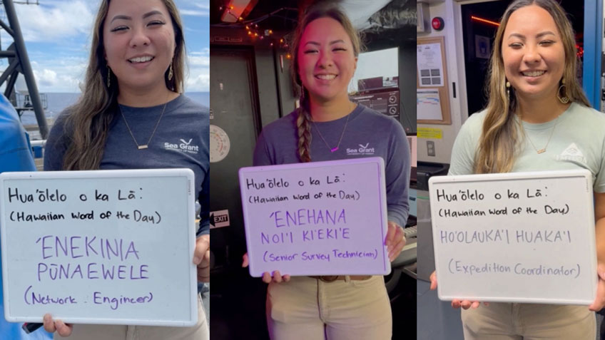 Triptych of a woman holding boards with Hawaiian translations for different job titles in various settings.