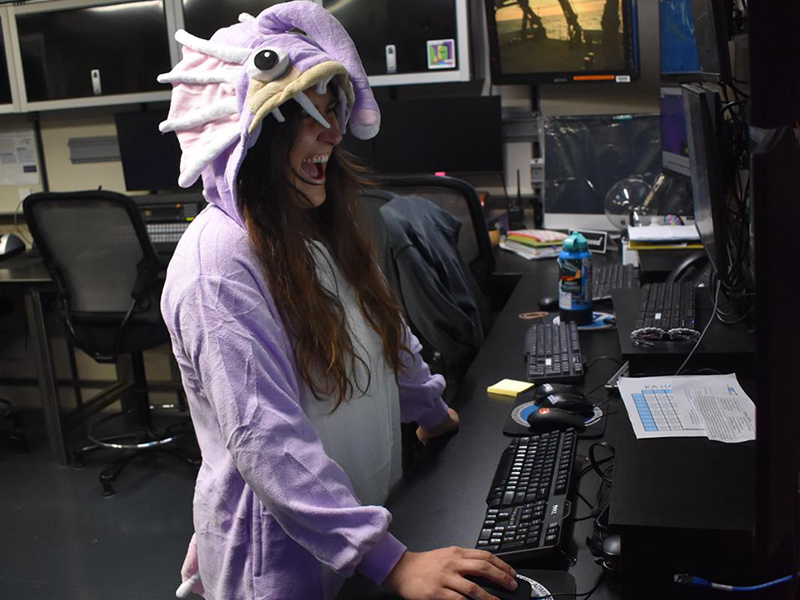 Person in a purple sea creature costume working at a computer desk.