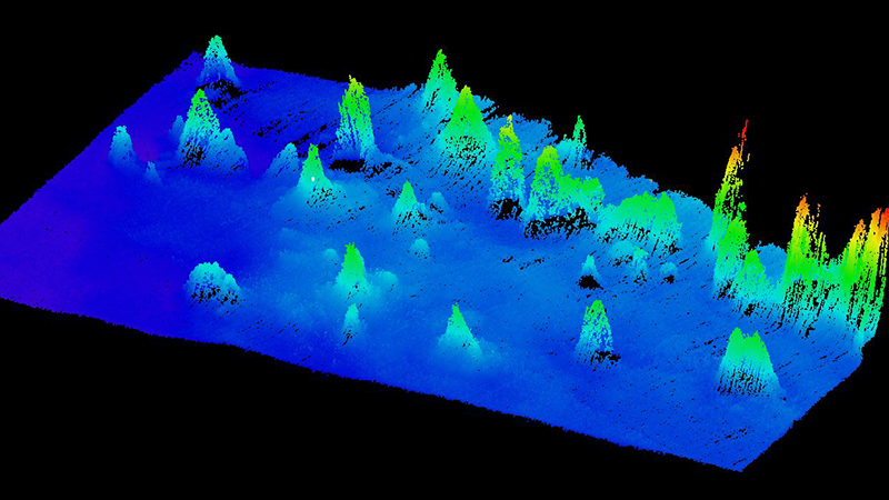 3D topographic map with colorful peaks and valleys on a black background.