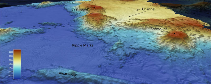 A bathymetric map of an underwater area showing seamounts, a channel, and a linear ridge indicated by different colors.