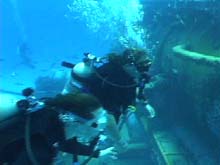 Girl Scouts diving on the Aquarius Habitat.