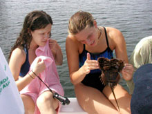 Girl Scouts studied alongside one another during the week long project.