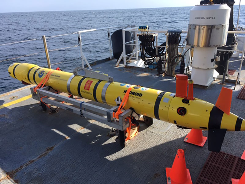 REMUS 600 AUV