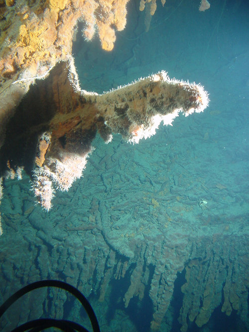 A rusticle hanging from the stern section of the RMS Titanic shows secondary growths during maturation.